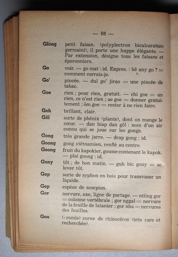 Dictionnaire Srê (Köho) - Français, Jacques Dournes / lettre G: lettre GO / Dournes, Jacques /  Viet Nam/ Viet Nam