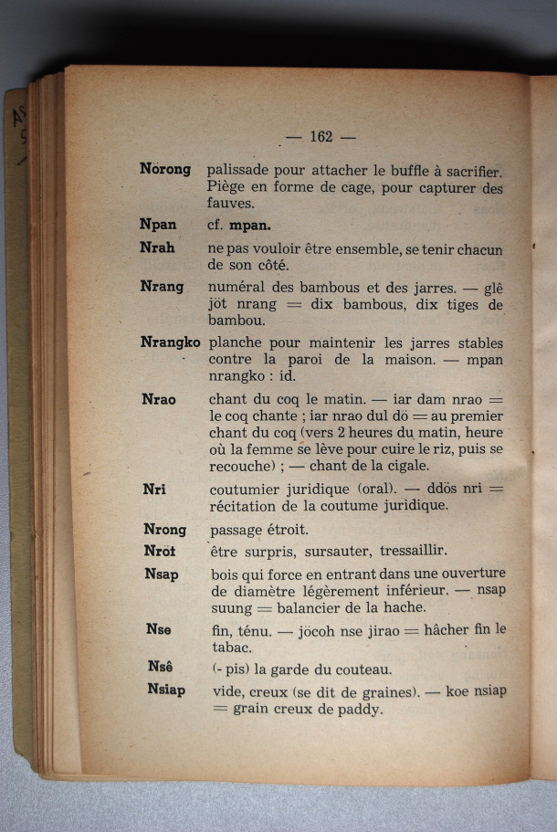 Dictionnaire Srê (Köho) - Français, Jacques Dournes / lettre N: lettre NS / Dournes, Jacques /  Viet Nam/ Viet Nam