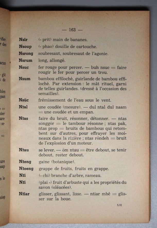 Dictionnaire Srê (Köho) - Français, Jacques Dournes / lettre N: lettre NT / Dournes, Jacques /  Viet Nam/ Viet Nam