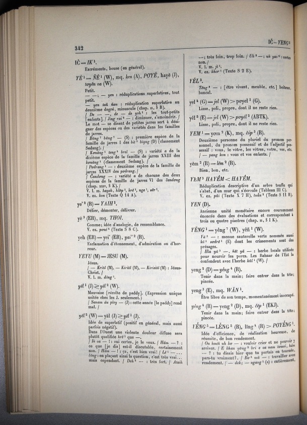 Dictionnaire Bahnar-Français, Guilleminet (tome 1, A-K) / sous partie lettre I,Y: lettre YE / Guilleminet, Paul /  Viet Nam/ Viet Nam