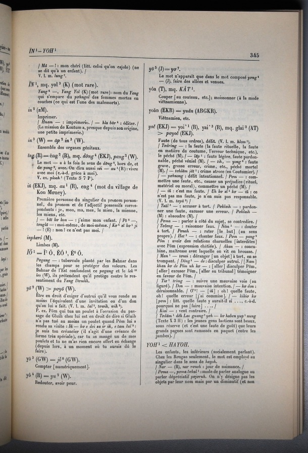 Dictionnaire Bahnar-Français, Guilleminet (tome 1, A-K) / sous partie lettre I,Y: lettre YO / Guilleminet, Paul /  Viet Nam/ Viet Nam