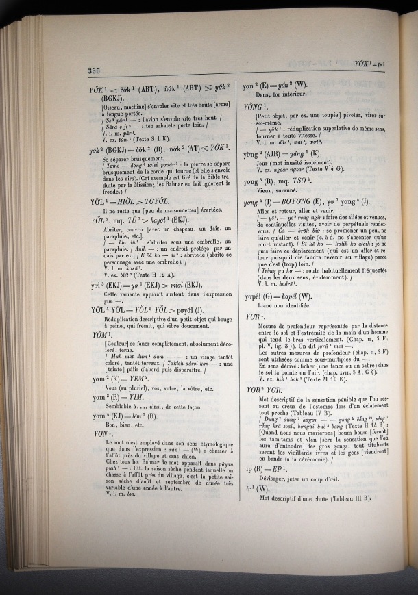 Dictionnaire Bahnar-Français, Guilleminet (tome 1, A-K) / sous partie lettre I,Y: lettre IR / Guilleminet, Paul /  Viet Nam/ Viet Nam