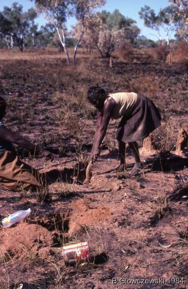 Hunting, Lajamanu 1984 (2) / Hunting for yam; Training to film / Barbara Glowczewski / 28 miles (from Lajamanu), Tanami Desert, Central Australia