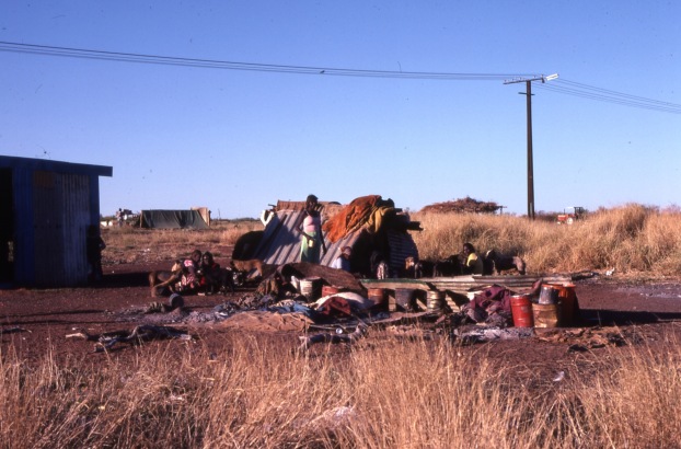Life and youth in the Lajamanu camps 1984  / Lily's camp / Barbara Glowczewski / Lajamanu, Central Australia