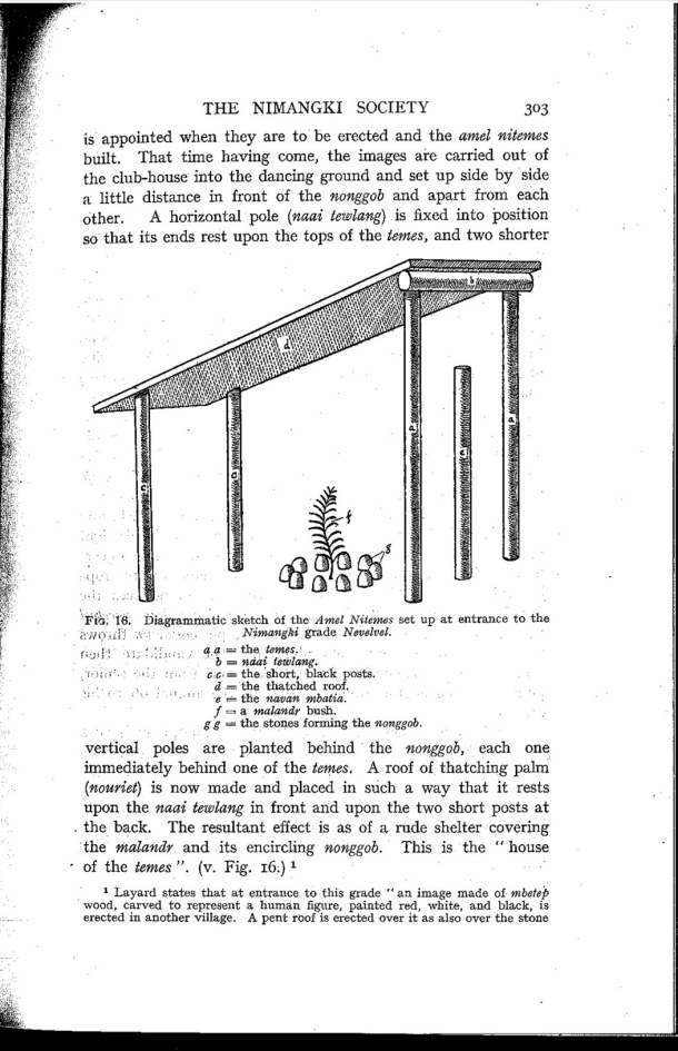 Deacon A.B., 1934. Malekula: A Vanishing People in the New Hebrides / Diagrammatic sketch of the Amel Nitemes / Bernard A. Deacon / Vanuatu, Nouvelles-Hébrides, Malekula, South-West Bay