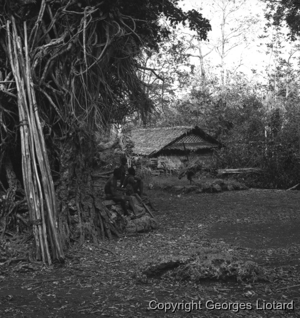 Ile Pentecôte - Village de BUNLAP / Ile Pentecôte - Village de BUNLAP / Georges Liotard / Vanuatu, Pentecôte, Bunlap