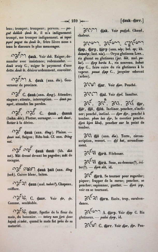 Dictionnaire Cam-Français, E. Aymonier et A. Cabaton / d.io' / Cabaton, Antoine; Aymonier, Etienne /  Viet Nam/ Viet Nam