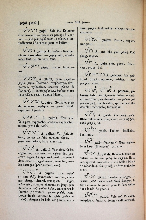 Dictionnaire Cam-Français, E. Aymonier et A. Cabaton / pat / Cabaton, Antoine; Aymonier, Etienne /  Viet Nam/ Viet Nam