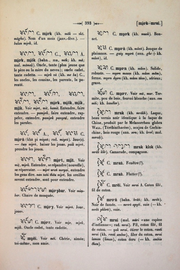 Dictionnaire Cam-Français, E. Aymonier et A. Cabaton / mr / Cabaton, Antoine; Aymonier, Etienne /  Viet Nam/ Viet Nam