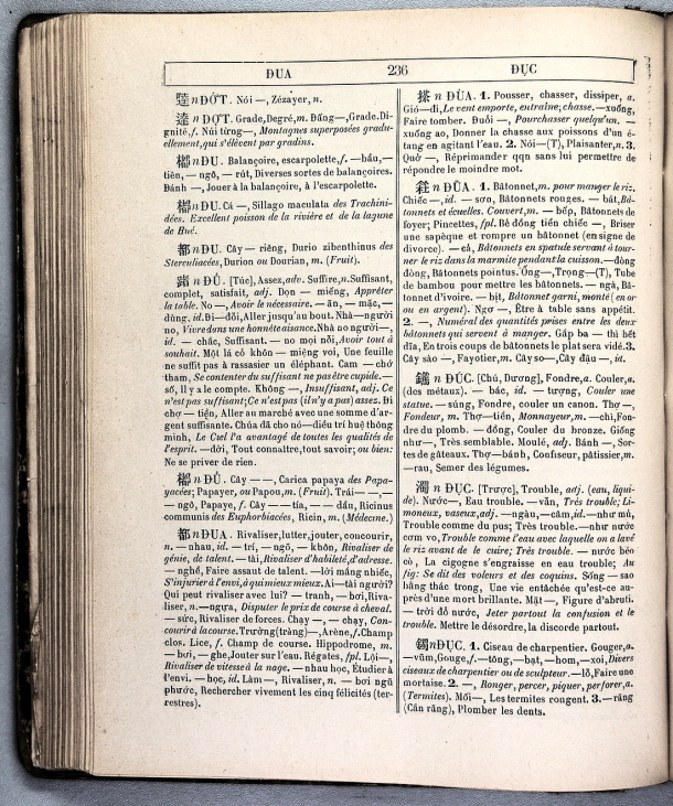 Dictionnaire Annamite-Français, par J.F.M. Génibrel / sous partie lettre -D-U / Génibrel, J.F.M. /  Viet Nam/ Viet Nam
