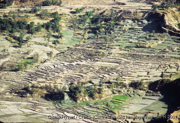 Vallée de Kathmandu c.1971 / Rizières en terrasses sur la route de Pharping.  / Hyvert, Gisèle  / Vallée de Kathmandu, Népal 