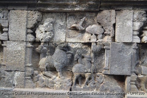 Borobudur > Galerie I > Balustrade supérieure : Histoire du pivert / Borobudur > Galerie I > Balustrade supérieure : Histoire du pivert / Dollfus, Pascale; Jacquesson, François /  Indonesia/ Indonésie