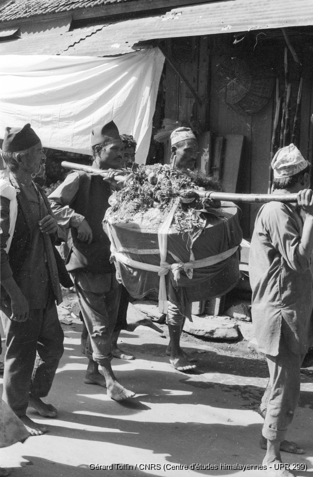 Indra Jatra à Kathmandu (1995) / Indra Jatra : les Putuwâr d'Halchok arrivent dans le quartier de Kilagal, portant le coffre rituel contenant les masques de divinités 
  / Toffin, Gérard  / Kathmandu (Kathmandu district), Népal 