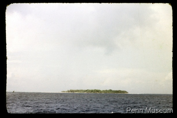 Diapositives couleur et négatifs en noir et blanc / Diapositives couleur et négatifs en noir et blanc / Davenport, William H. /  Solomon Islands/ Salomon, Îles