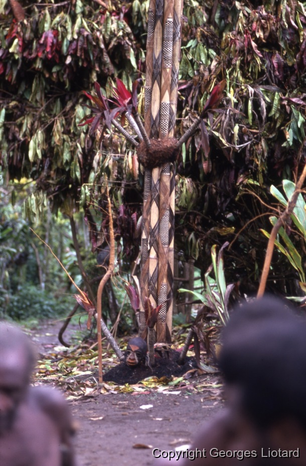 Funérailles à  Malakula (Malekula, Mallicolo) Vanuatu / Mat en bambou: Au pied d'un grand mât en bambou au sommet duquel se trouve le mannequin. On aperçoit un crâne surmodelé et des vanneries à la base des mâts (bambou). / Liotard, Georges / Lamap, Malekula, Vanuatu