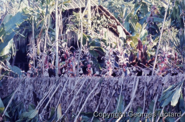 Funérailles à  Malakula (Malekula, Mallicolo) Vanuatu / Marionnettes: Les marionnettes apparaissent en premier et parcourent toute la largeur de la palissade à un rythme plus ou moins rapide. / Liotard, Georges / Lamap, Malekula, Vanuatu