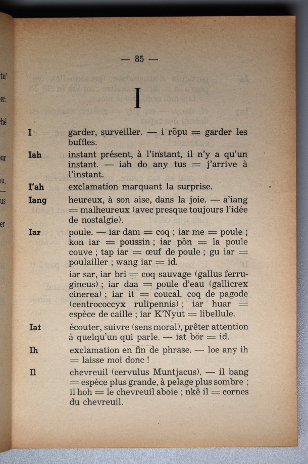 Dictionnaire Srê (Köho) - Français, Jacques Dournes / lettre I / Dournes, Jacques /  Viet Nam/ Viet Nam