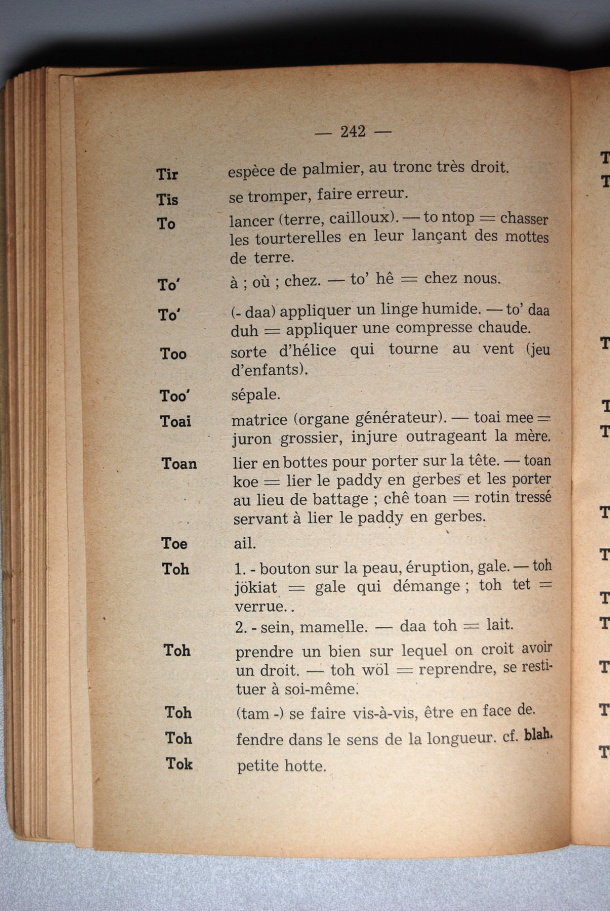 Dictionnaire Srê (Köho) - Français, Jacques Dournes / lettre T: lettre TO / Dournes, Jacques /  Viet Nam/ Viet Nam