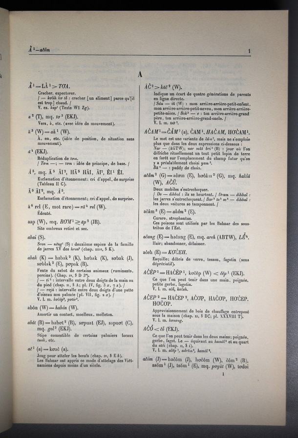 Dictionnaire Bahnar-Français, Guilleminet (tome 1, A-K) / lettre A / Guilleminet, Paul /  Viet Nam/ Viet Nam