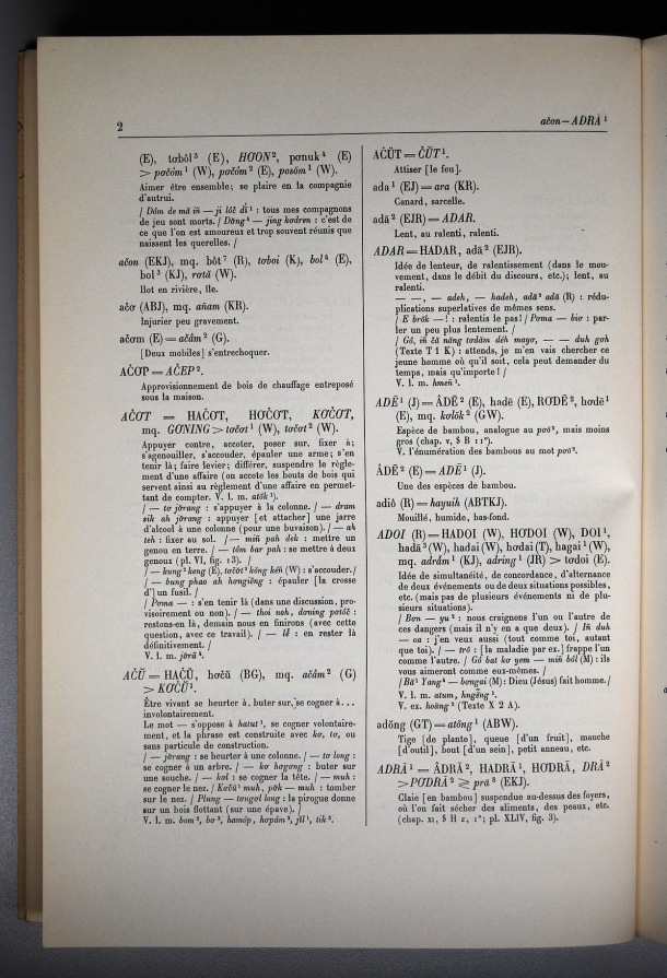 Dictionnaire Bahnar-Français, Guilleminet (tome 1, A-K) / sous partie lettre A: lettre AD / Guilleminet, Paul /  Viet Nam/ Viet Nam