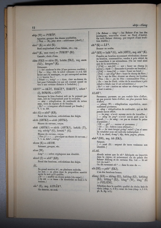 Dictionnaire Bahnar-Français, Guilleminet (tome 1, A-K) / sous partie lettre A: lettre AL / Guilleminet, Paul /  Viet Nam/ Viet Nam
