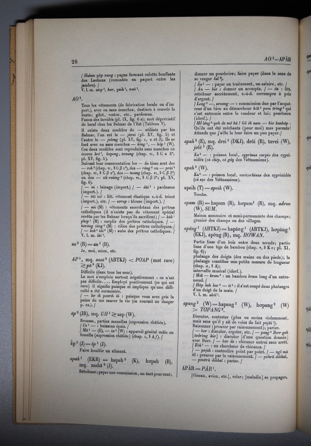 Dictionnaire Bahnar-Français, Guilleminet (tome 1, A-K) / sous partie lettre A: lettre AP / Guilleminet, Paul /  Viet Nam/ Viet Nam