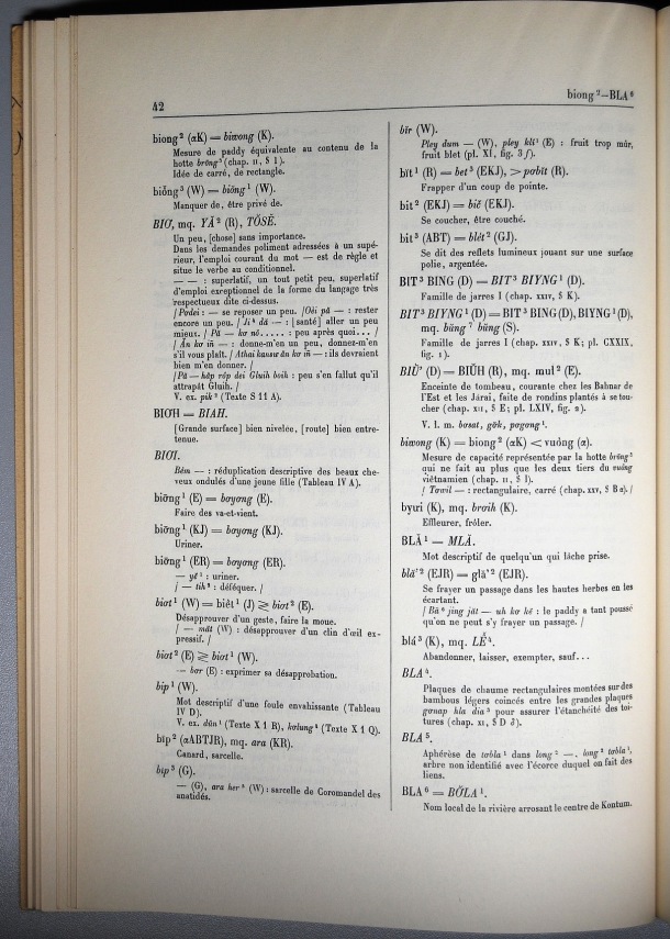 Dictionnaire Bahnar-Français, Guilleminet (tome 1, A-K) / sous partie lettre B: lettre BL / Guilleminet, Paul /  Viet Nam/ Viet Nam