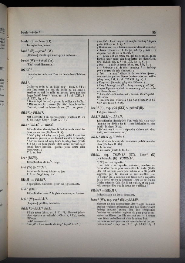 Dictionnaire Bahnar-Français, Guilleminet (tome 1, A-K) / sous partie lettre B: lettre BR / Guilleminet, Paul /  Viet Nam/ Viet Nam