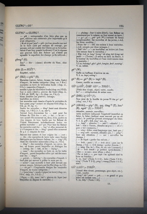 Dictionnaire Bahnar-Français, Guilleminet (tome 1, A-K) / sous partie lettre G: lettre GO / Guilleminet, Paul /  Viet Nam/ Viet Nam