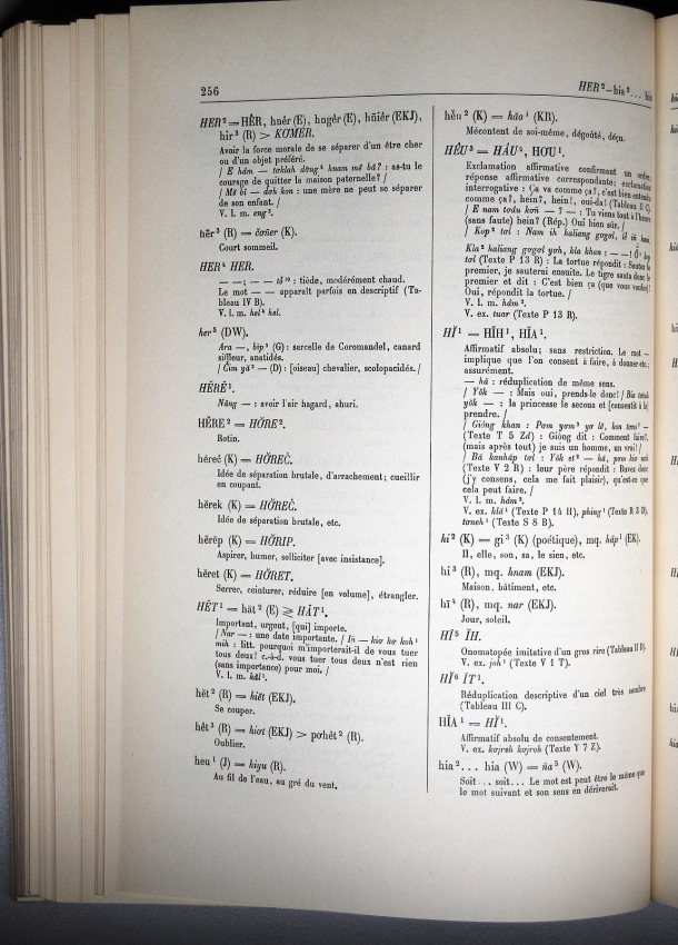 Dictionnaire Bahnar-Français, Guilleminet (tome 1, A-K) / sous partie lettre H:lettre HI / Guilleminet, Paul /  Viet Nam/ Viet Nam
