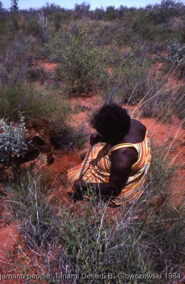 Hunting, Warlpiri people, Lajamanu 1984 (1) / Liddy Nakamarra digs for yam & goanna / Barbara Glowczewski / Kurlungalinpa road (Buchanan hill), Tanami desert, Central Australia