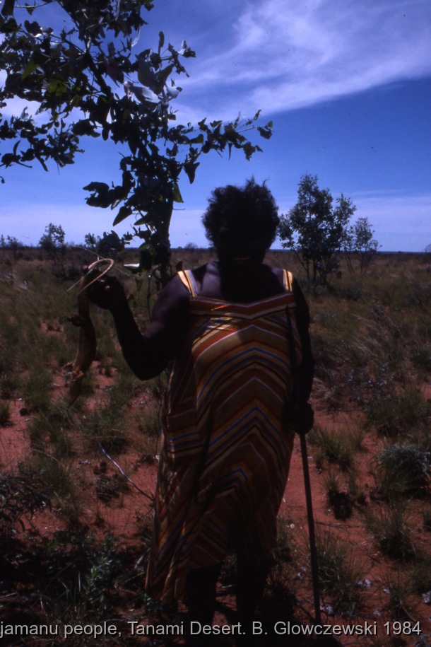 Hunting, Warlpiri people, Lajamanu 1984 (1) / Hunting (wirliniyi), digging for yam & goanna  / Barbara Glowczewski / Kurlungalinpa road (Buchanan hill), Tanami desert, Central Australia