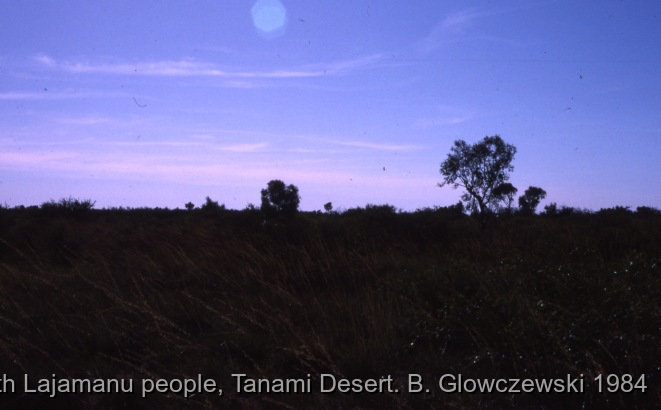 Hunting, Warlpiri people, Lajamanu 1984 (1) / Landscape, Hunting (wirliniyi), digging for yam & goanna  / Barbara Glowczewski / Kurlungalinpa road (Buchanan hill), Tanami desert, Central Australia