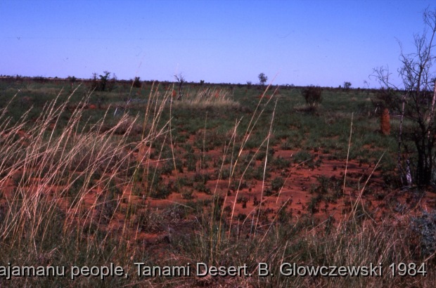 Hunting, Warlpiri people, Lajamanu 1984 (1) / Hunting (wirliniyi), digging for yam & goanna  / Barbara Glowczewski / Kurlungalinpa road (Buchanan hill), Tanami desert, Central Australia