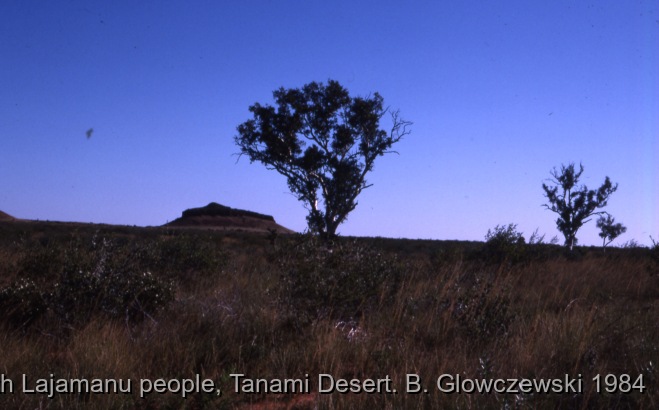Hunting, Warlpiri people, Lajamanu 1984 (1) / Jilimi / Barbara Glowczewski / Kurlungalinpa road (Buchanan hill), Tanami desert, Central Australia