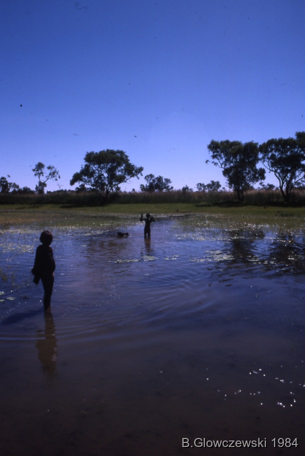 Hunting, Lajamanu 1984 (2) / Waterhole, Camping with the Gibson family / Barbara Glowczewski / Mirririnyangu, NT