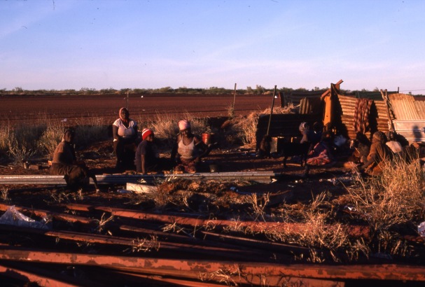 Life and youth in the Lajamanu camps 1984  / New Sorry Napangardi camp / Barbara Glowczewski / Lajamanu, Central Australia