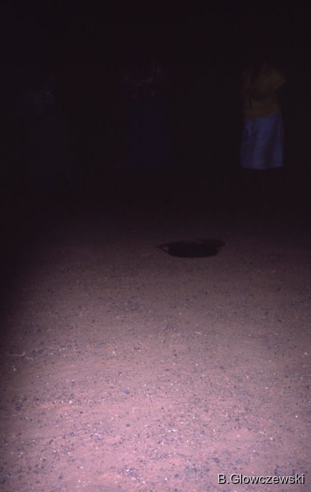 Yawulyu 2 - dancing in Kurlungalinpa and on the way back to Lajamanu / Women dancing WINTIKI with yukurrukurru slates on the ground / Barbara Glowczewski / Lajamanu, Tanami Desert, Central Australia