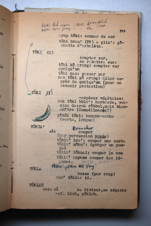 Ebauche de Dictionnaire de la Langue Jörai, Jacques Dournes / Ebauche de Dictionnaire de la Langue Jörai, Jacques Dournes / Dournes, Jacques /  Viet Nam/ Viet Nam
