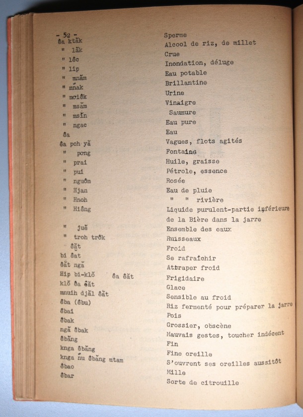Dictionnaire Rhadé-Français par Benjamin Louison / Dictionnaire Rhadé-Français par Benjamin Louison / Louison, Benjamin /  Viet Nam/ Viet Nam