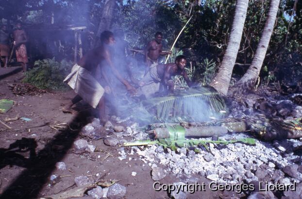 Preparation du Laplap / Préparation du laplap / Georges Liotard / Vanuatu