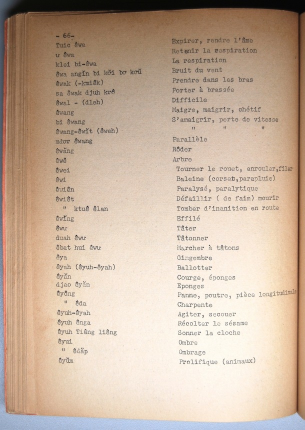 Dictionnaire Rhadé-Français par Benjamin Louison / lettre E: lettre EY / Louison, Benjamin /  Viet Nam/ Viet Nam