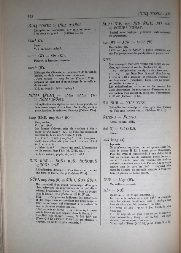 Dictionnaire Bahnar-Français, Guilleminet (tome 2, L-U) / lettre N: lettre NI / Guilleminet, Paul /  Viet Nam/ Viet Nam