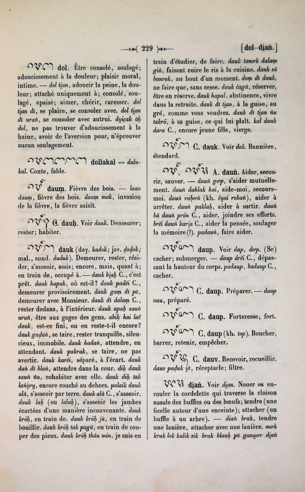 Dictionnaire Cam-Français, E. Aymonier et A. Cabaton / di< / Cabaton, Antoine; Aymonier, Etienne /  Viet Nam/ Viet Nam
