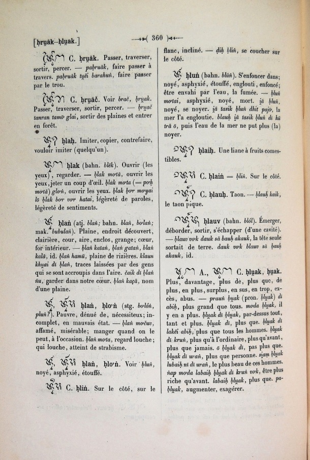 Dictionnaire Cam-Français, E. Aymonier et A. Cabaton / blu< / Cabaton, Antoine; Aymonier, Etienne /  Viet Nam/ Viet Nam