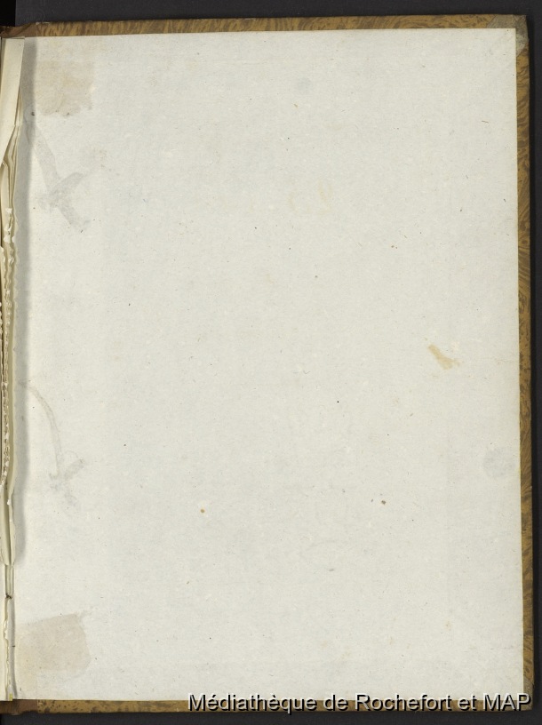 Journal de bord ( voyage de l'Astrolabe) (B172996201_MS_00111) / Journal de bord ( voyage de l'Astrolabe) (B172996201_MS_00111) / Lesson, Pierre-Adolphe / 