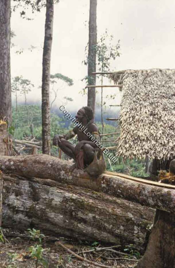 Hewa Portraits / Hewa Portraits / Lorenzo Brutti / Papua New Guinea