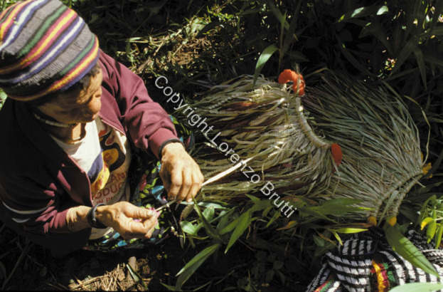 Huli photographs / Huli photographs / Lorenzo Brutti / Papua New Guinea