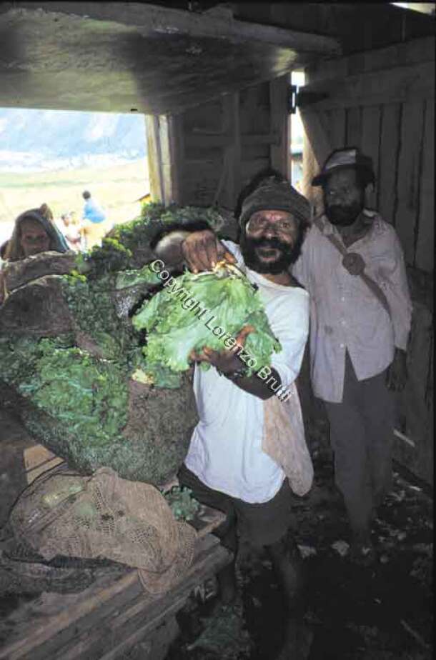 Oksapmin OVMB vegetables / Oksapmin OVMB vegetables / Lorenzo Brutti / Papua New Guinea