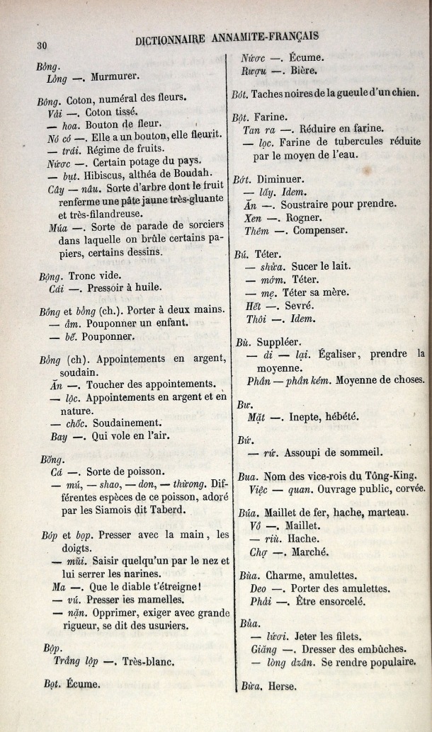 Dictionnaire Elémentaire Annamite-Français, Legrand de la Liraye / lettre B: lettre BU / Legrand de la Liraye /  Viet Nam/ Viet Nam
